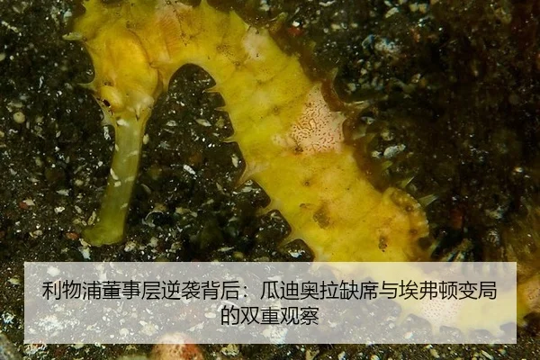 利物浦董事层逆袭背后：瓜迪奥拉缺席与埃弗顿变局的双重观察